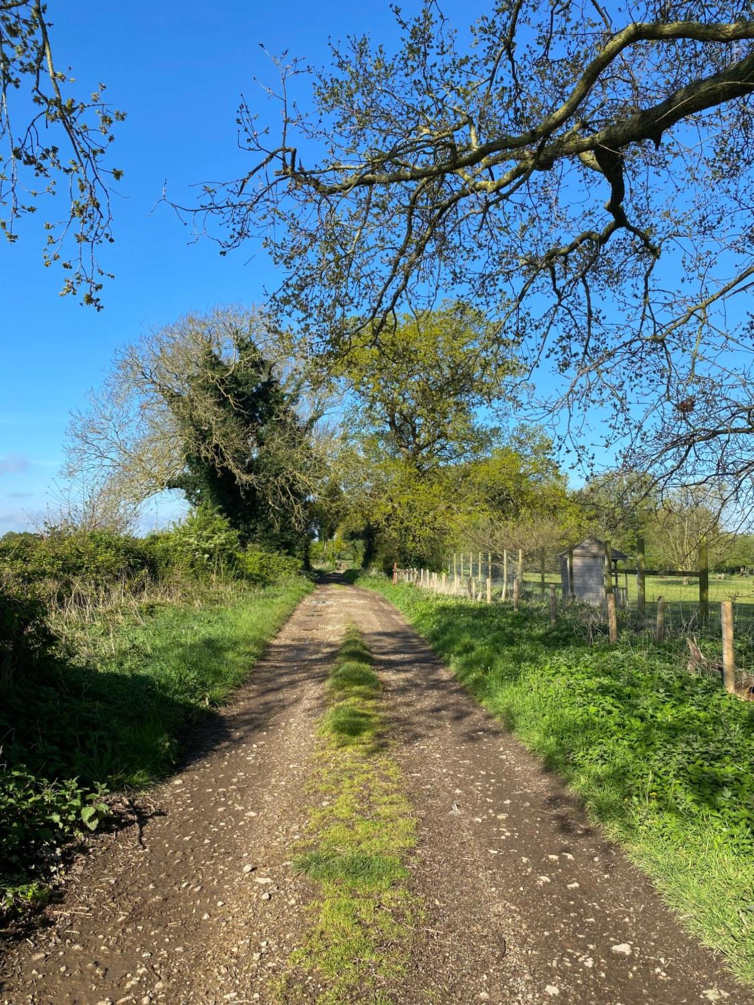 Narborough  Blossom Lodge - Detached Bungalow Near Kings Lynn מראה חיצוני תמונה
